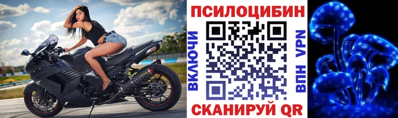 Псилоцибиновые грибы Psilocybine cubensis  Купить  Олёкминск 